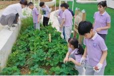 服务力标杆项目解读 I 打造“定制化”校园服务